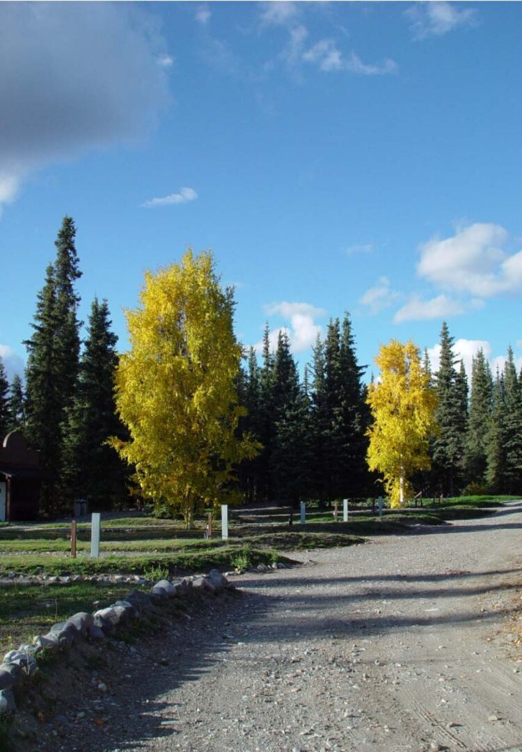 Alaska's Hart D Ranch